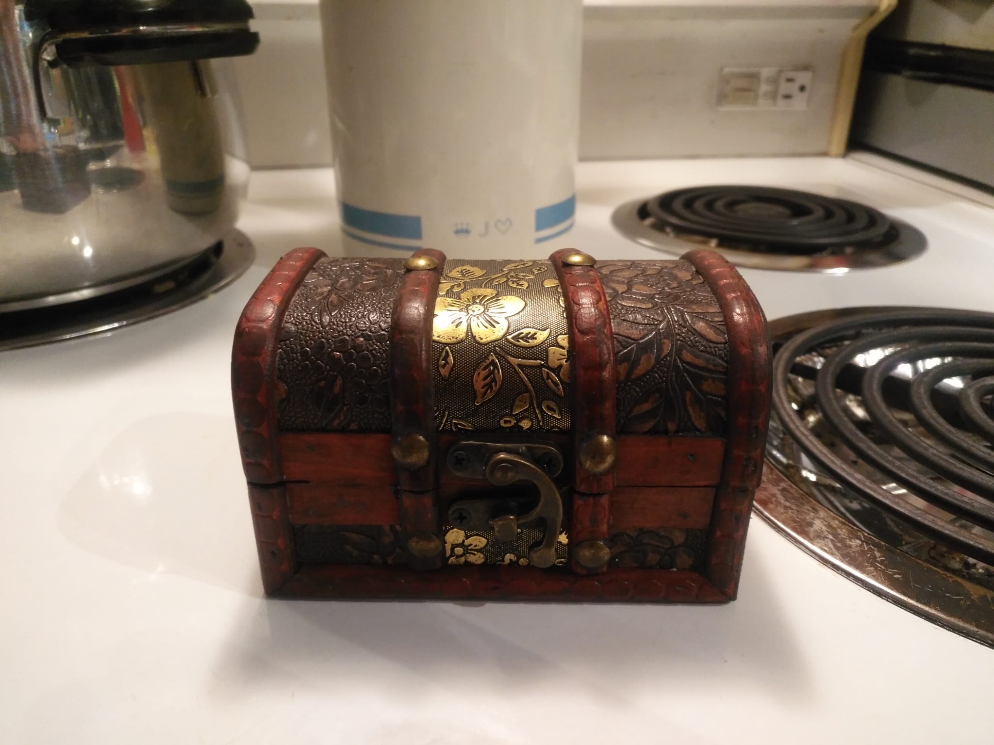 Discovering the Wonders of the Sea Inside a Sea Chest