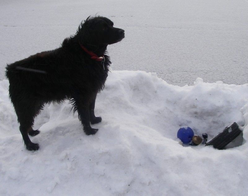 Ruler of the Snow Fortress