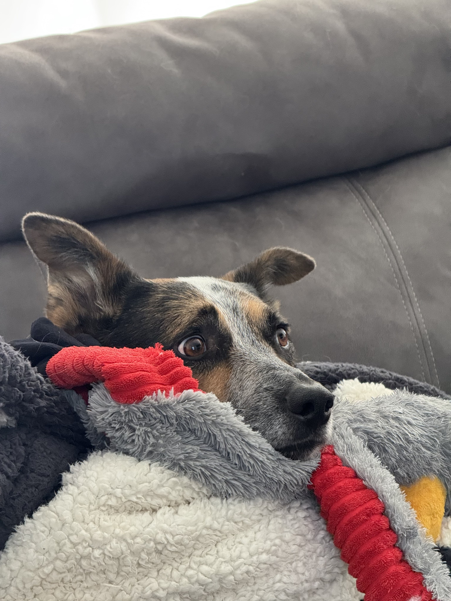 Tuning in to the Election Results...