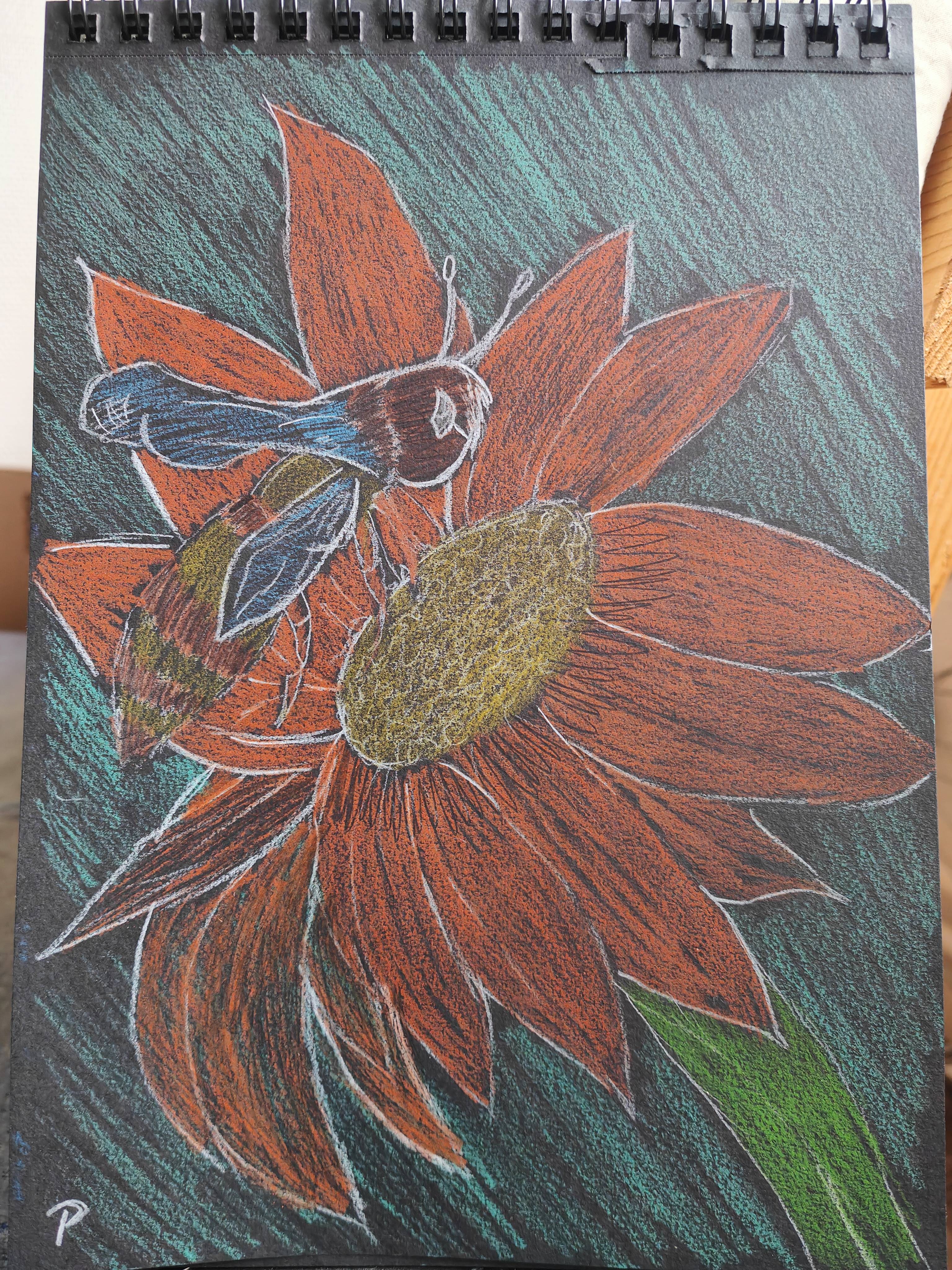Embracing Change: Trying Something New
