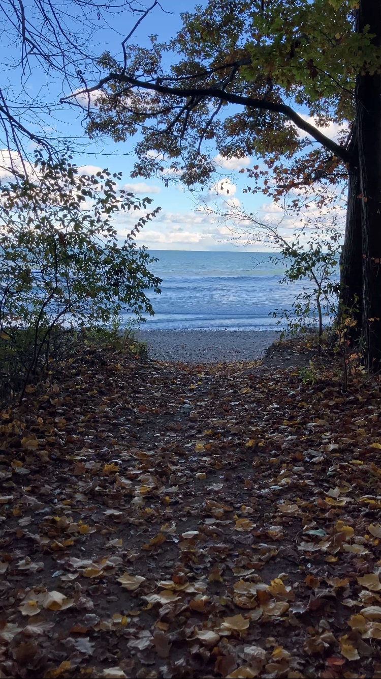 Exploring the Serenity of Lakeport