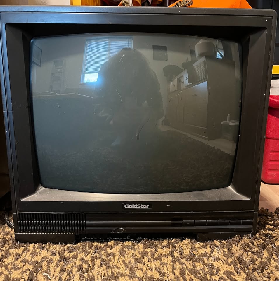 Blast from the Past: Goldstar 19" CRT TV from July 1989