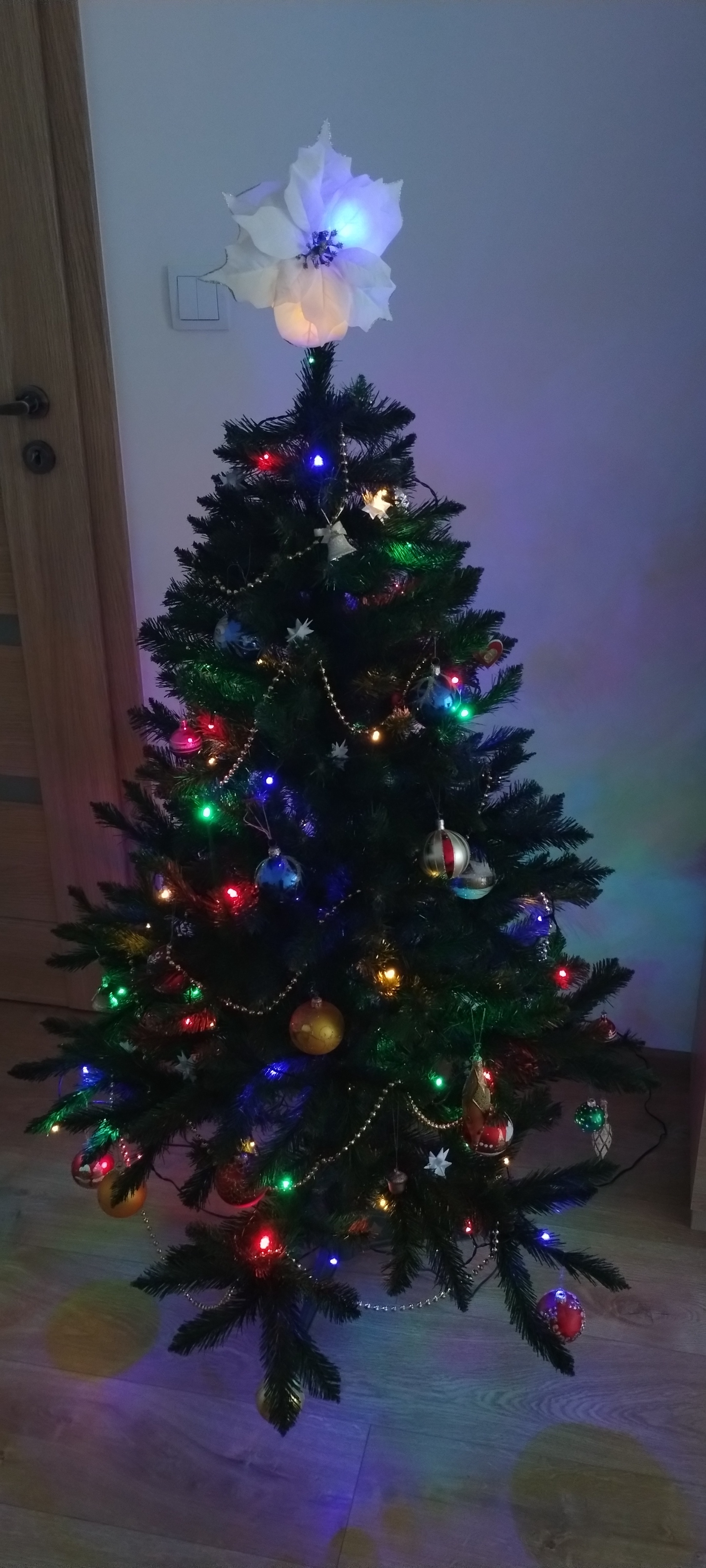 Just a Tree: No Acorns, Pinecones, or Selfies Here