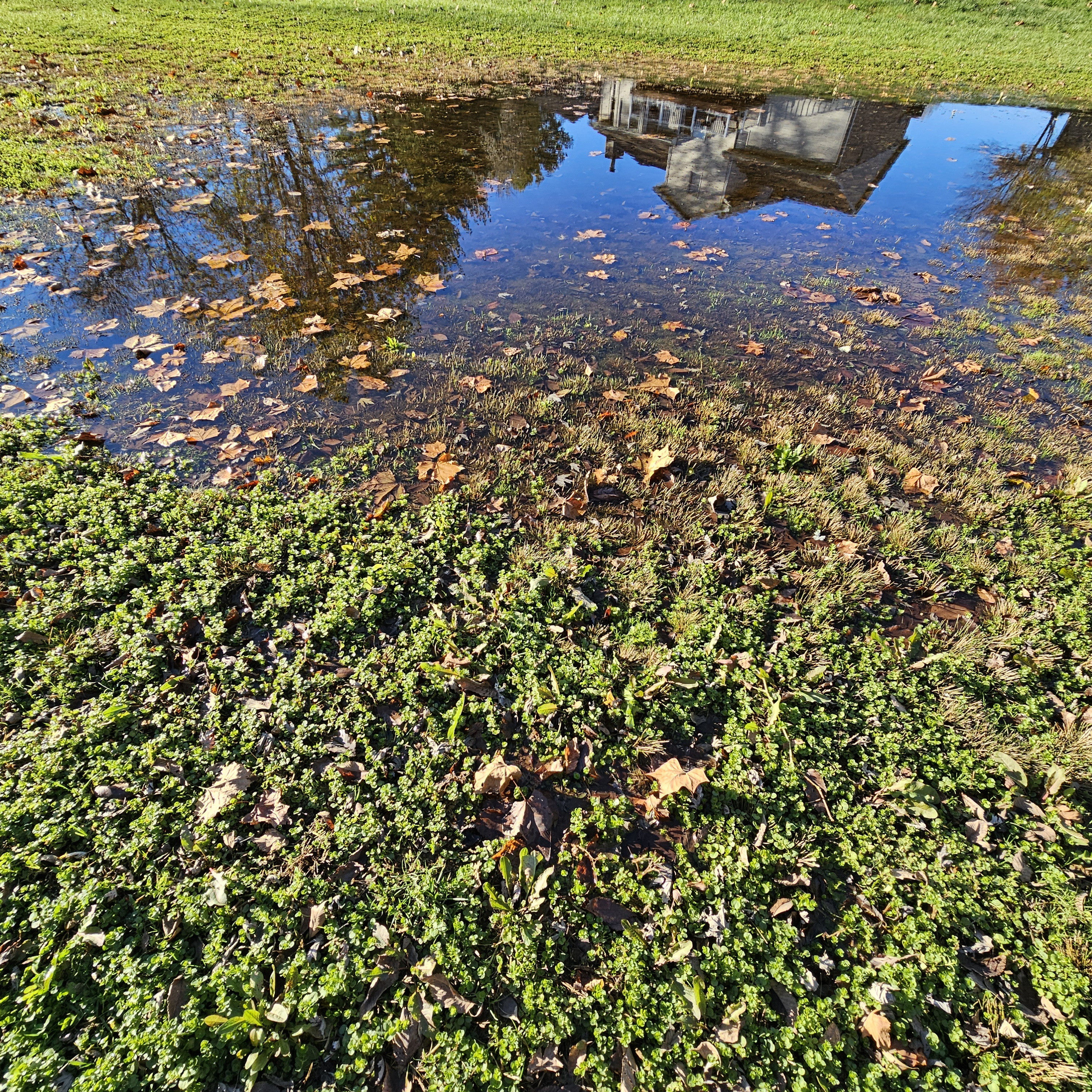 A gigantic puddle with a house right in the middle