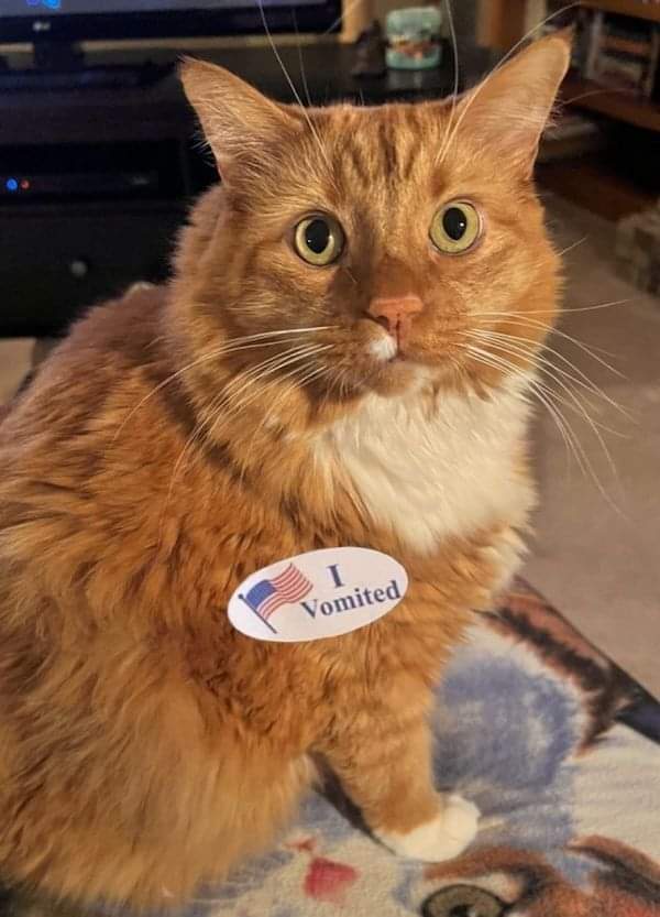 I did my part and I'm proud of it!