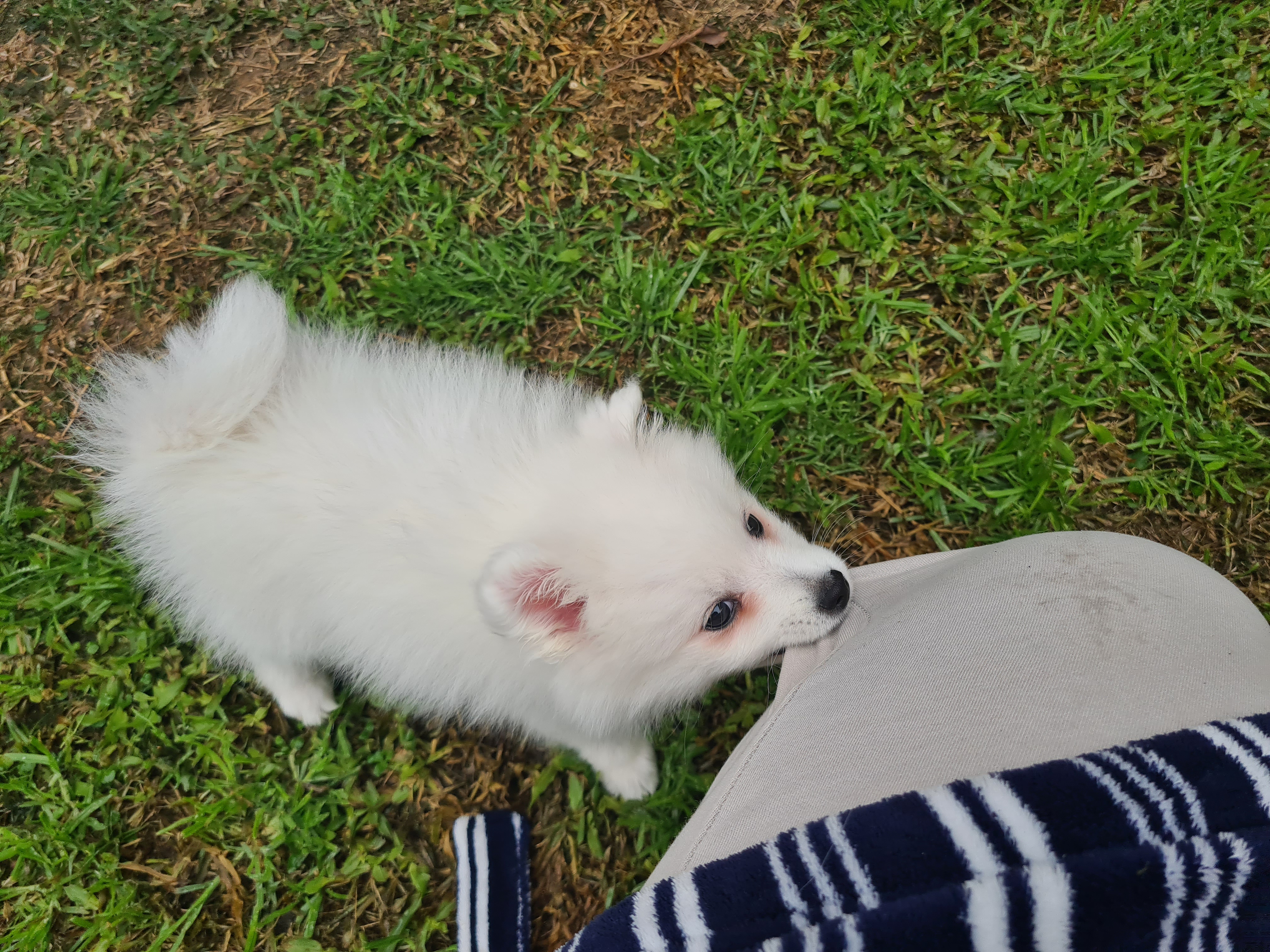 Say hello to Mitsuki!