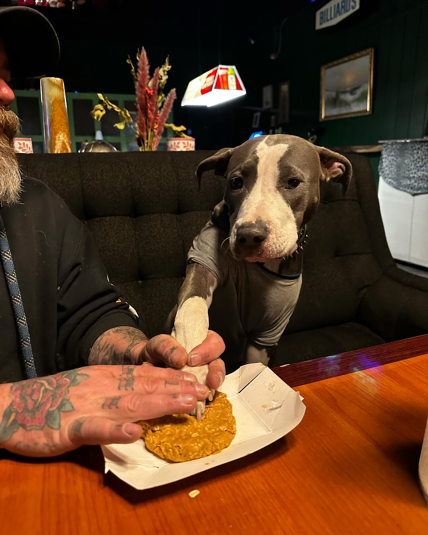 Making delicious no-bake peanut butter oatmeal dog treats with Dad at the bar