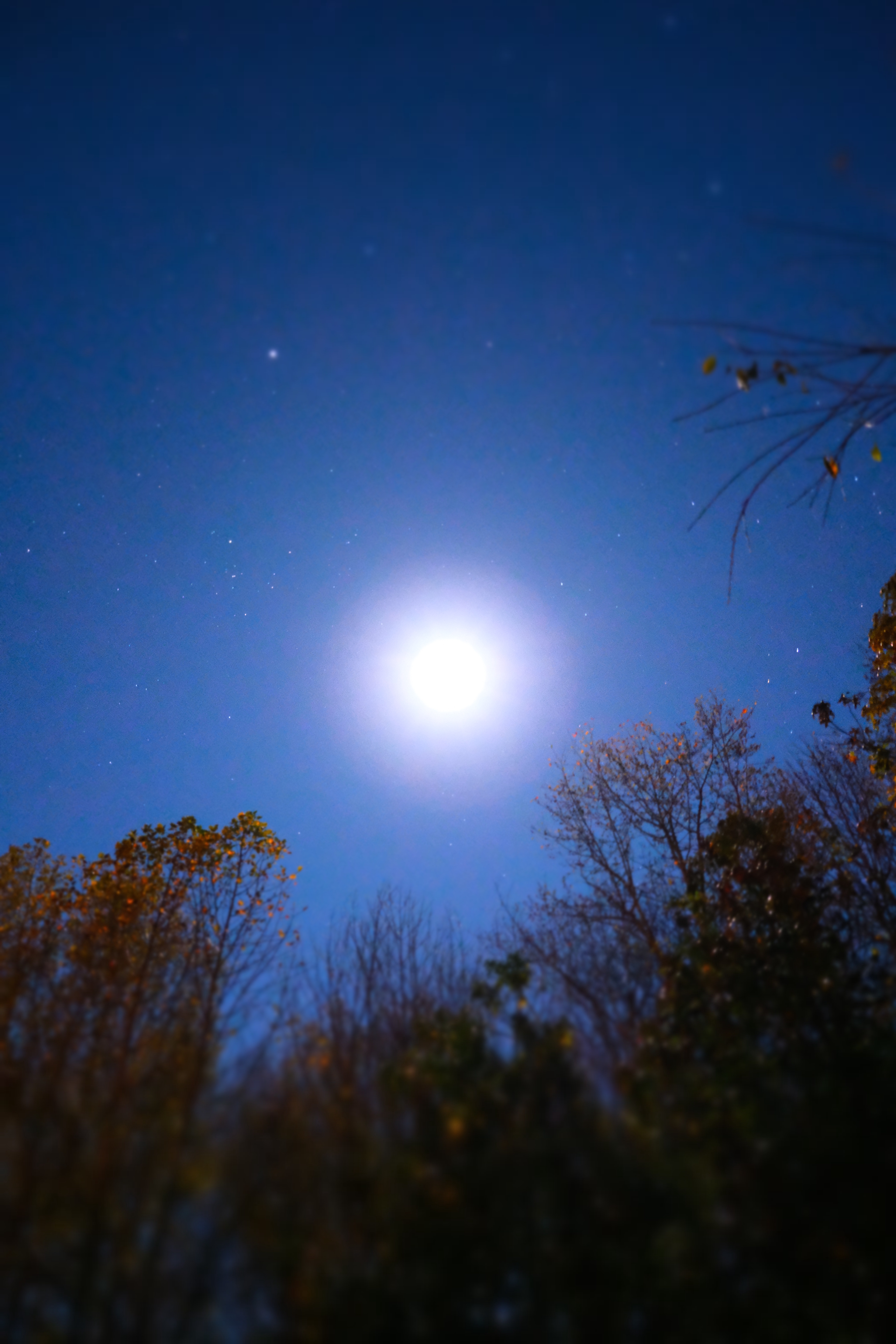 A serene yet vibrant autumn night that feels both lonely and beautiful