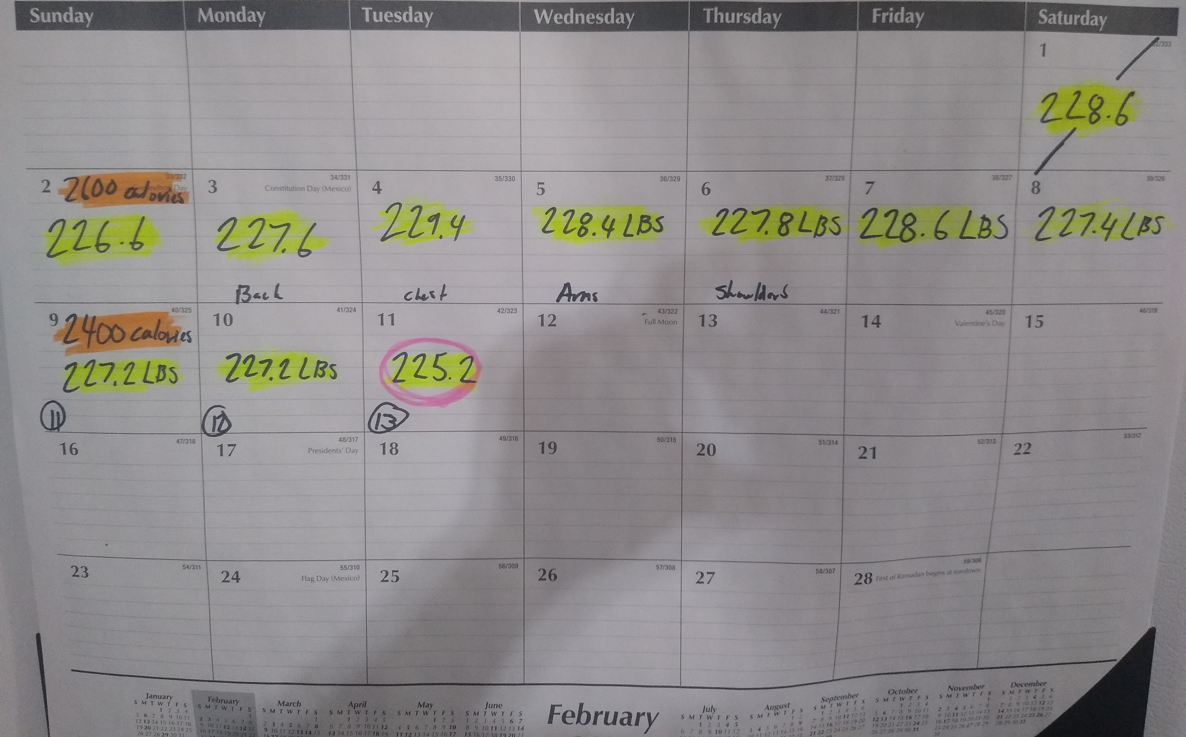 Tracking My Journey: Daily Weigh-In and Calorie Count Day 13