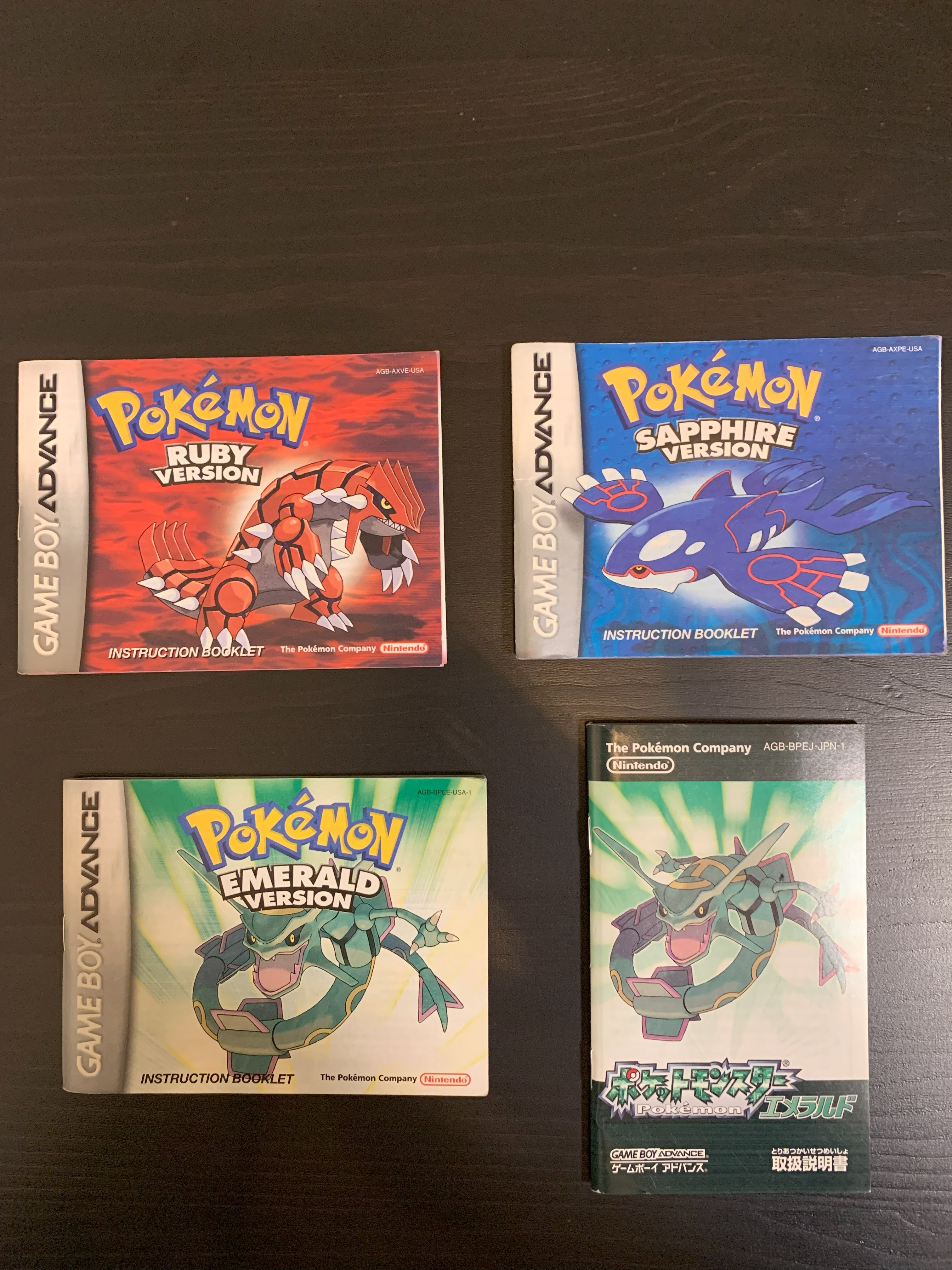 The Missing Braille Translation in Pokemon RSE Manuals