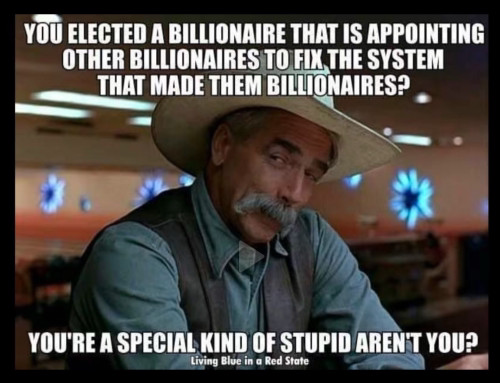 Are Billionaires Really the Answer to Our Problems?