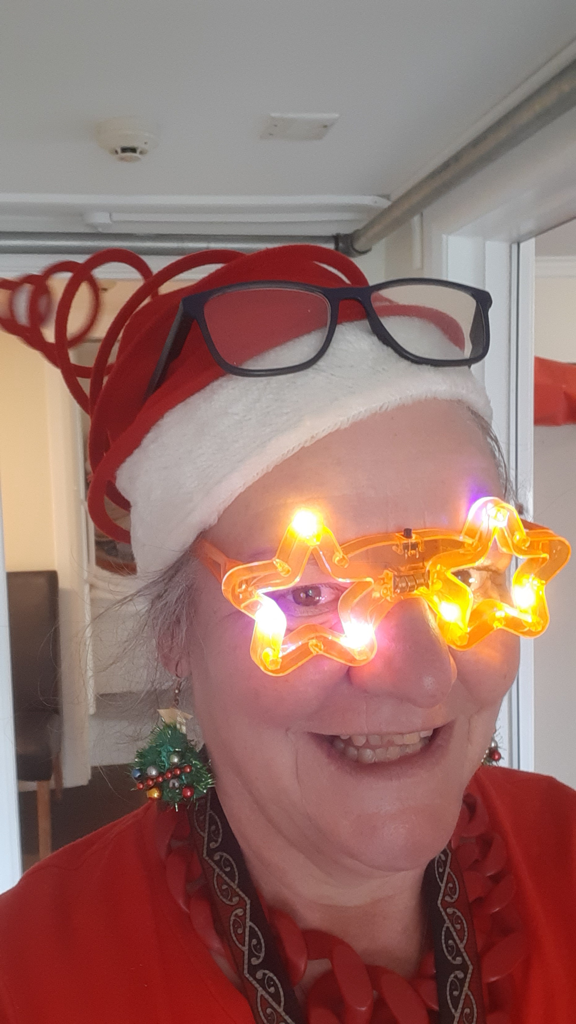 Warm Christmas Greetings from Beautiful Wellington, NZ!