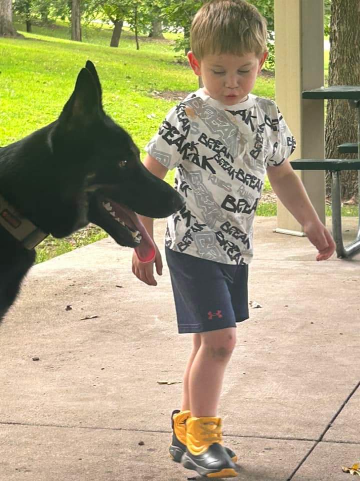 A Collection of Adorable Milo Photos