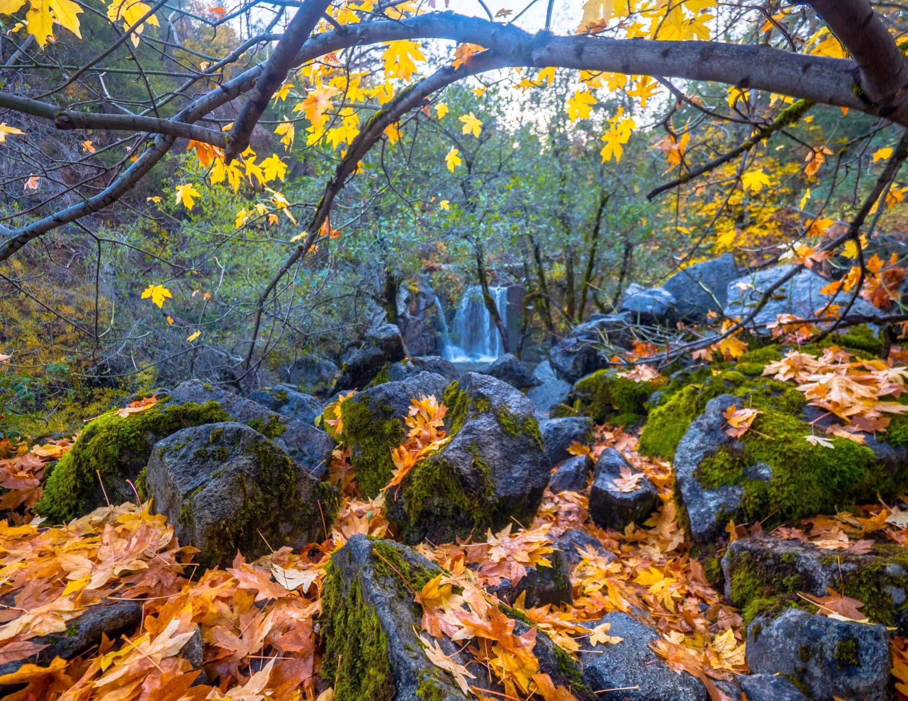 The vibrant colors of fall