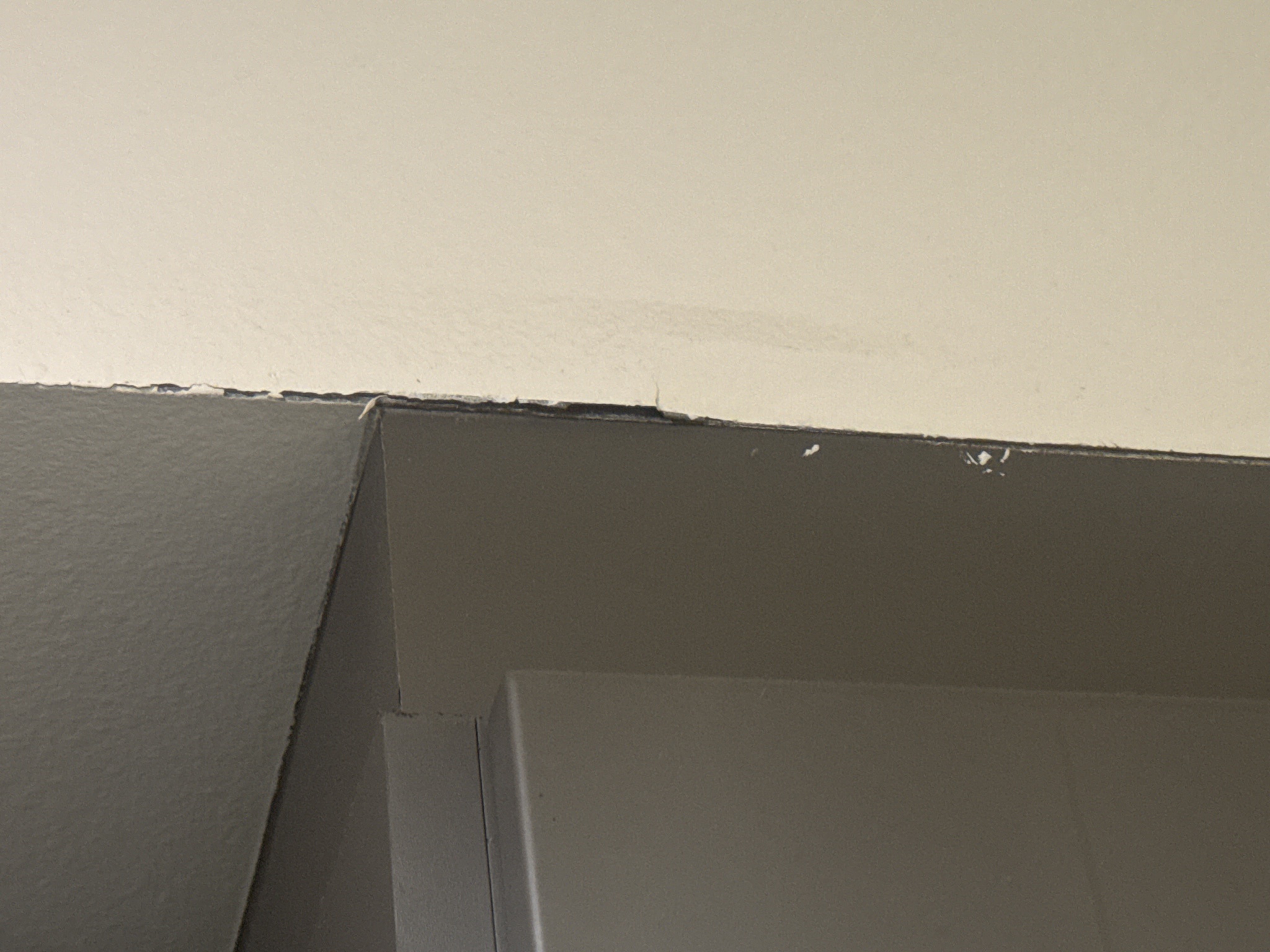 What’s Going On Here? 4th Floor of a 7-Story Apartment in Downtown LA (b. 2016)
