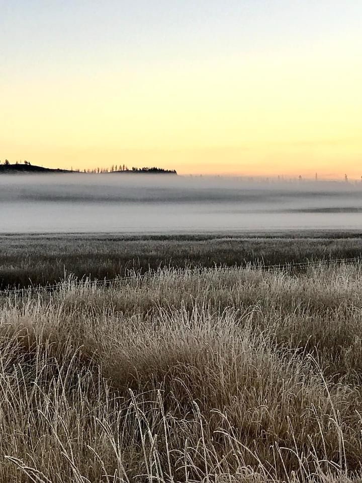 Mystical Fog Enveloping the Landscape