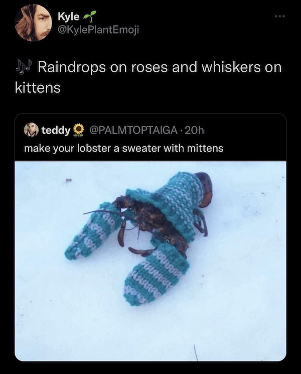 Meme Advent Calendar: Day 3 of 24
