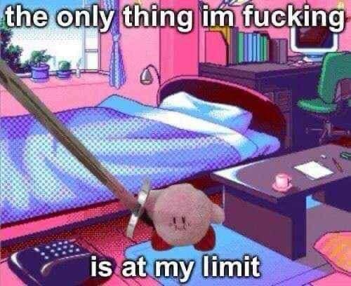 Memes that bring laughter and highlight societal chaos