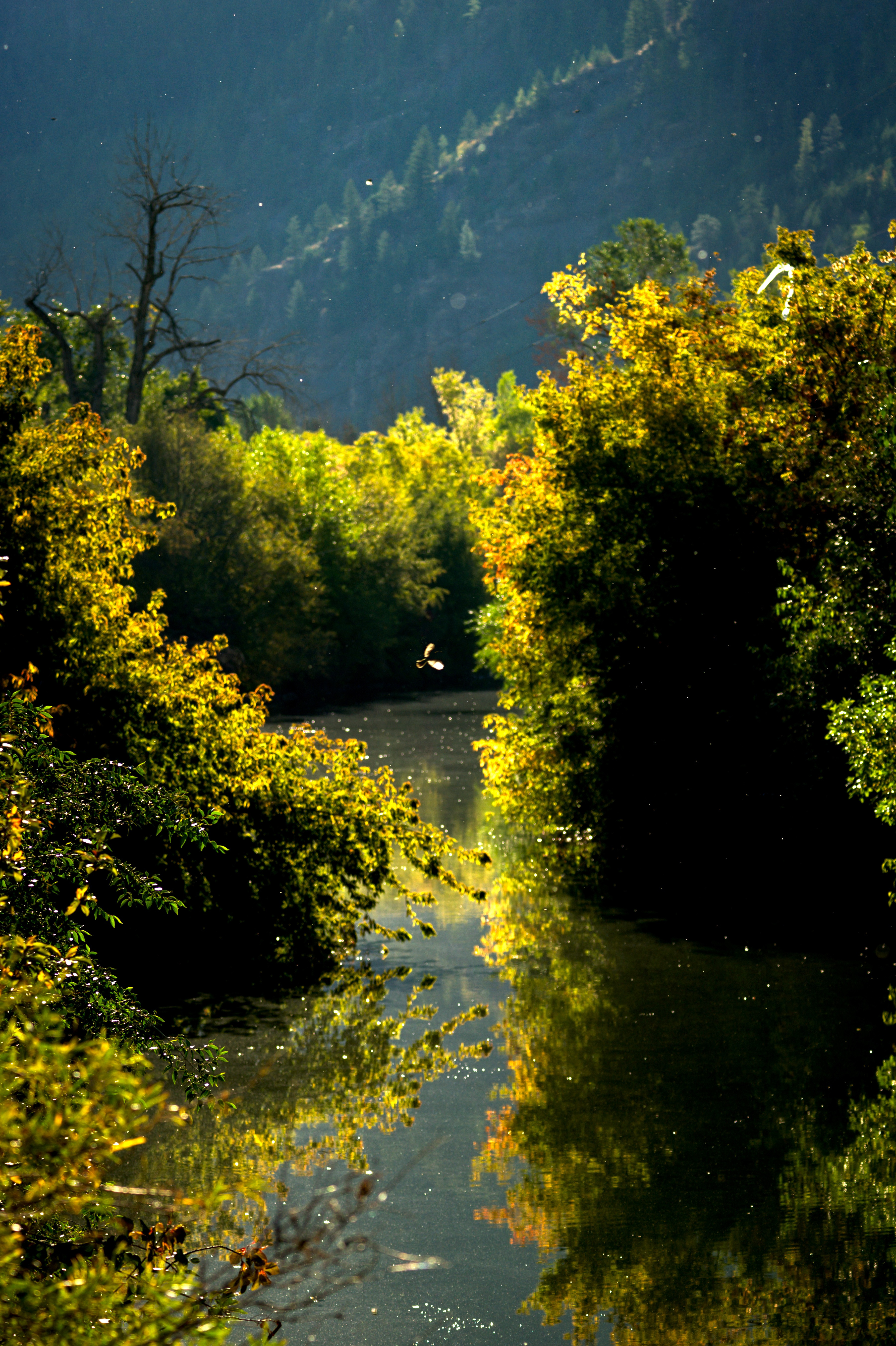 A Serene Morning in the Mountains