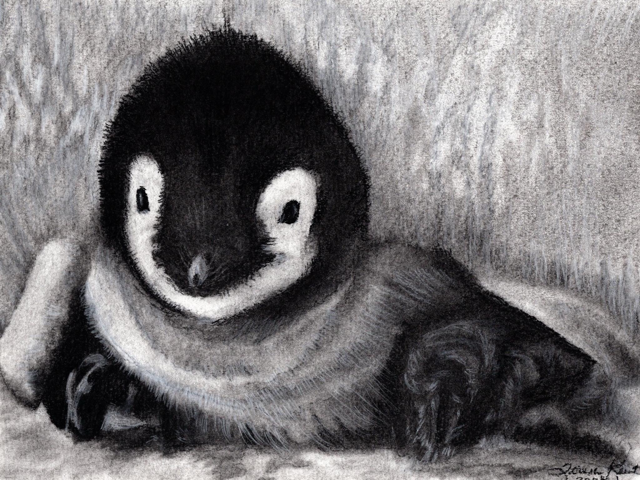 Adorable Penguin Moments