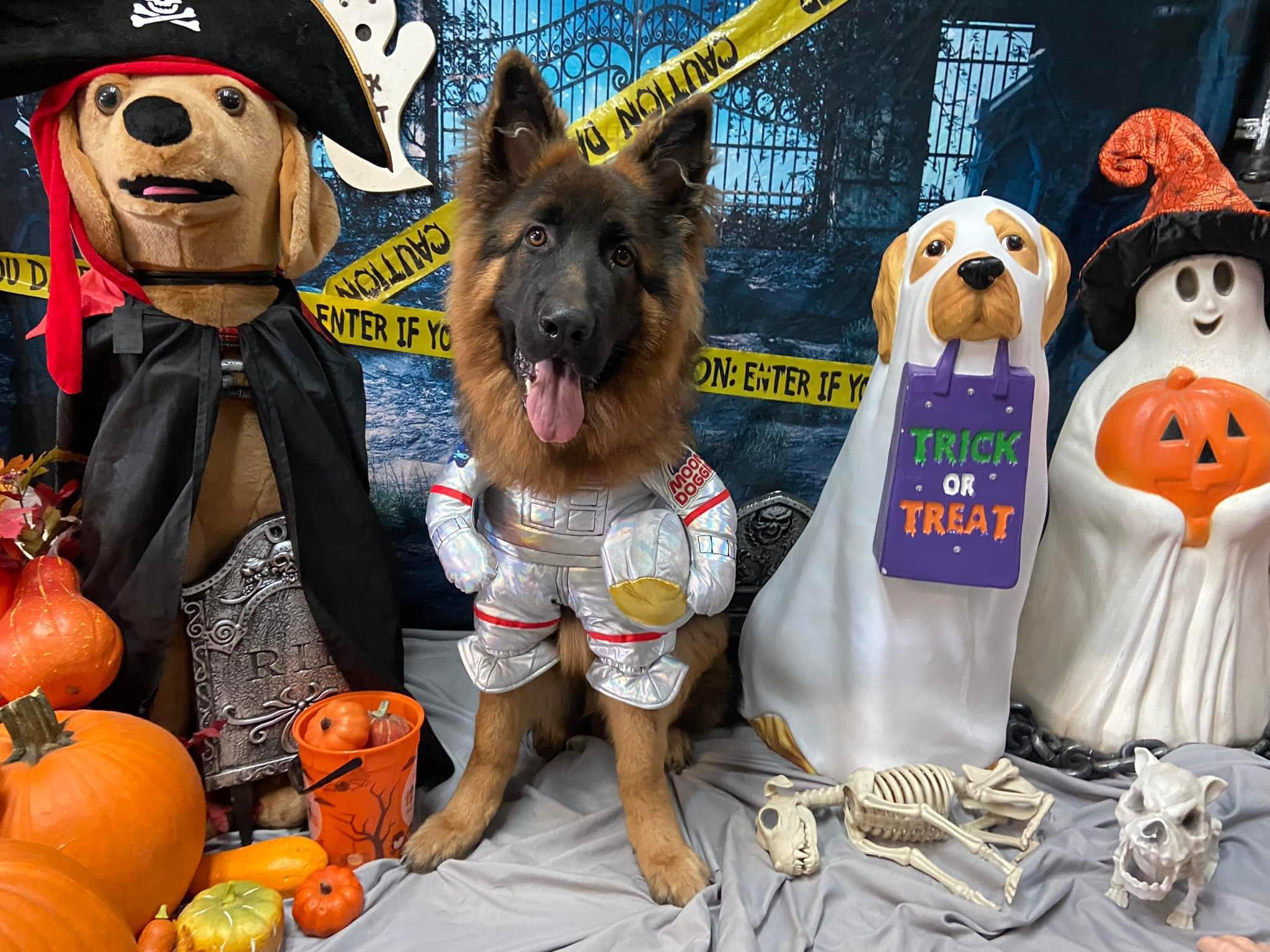 Rush the Astronaut is Ready for Halloween Fun!