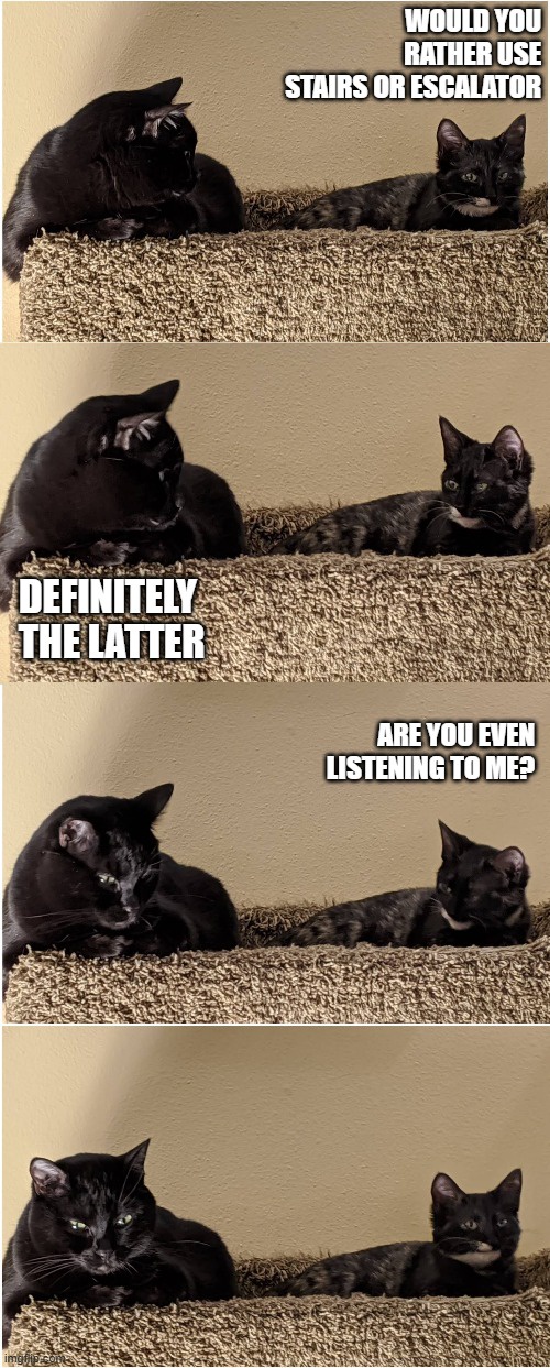 Splunk and Smudge: A Quirky Duo