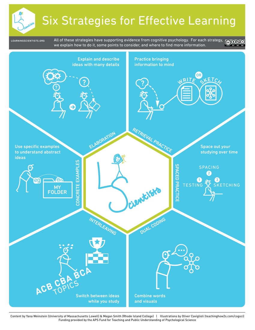 Unlocking Effective Learning with Insights from 'The Leaning Scientists'