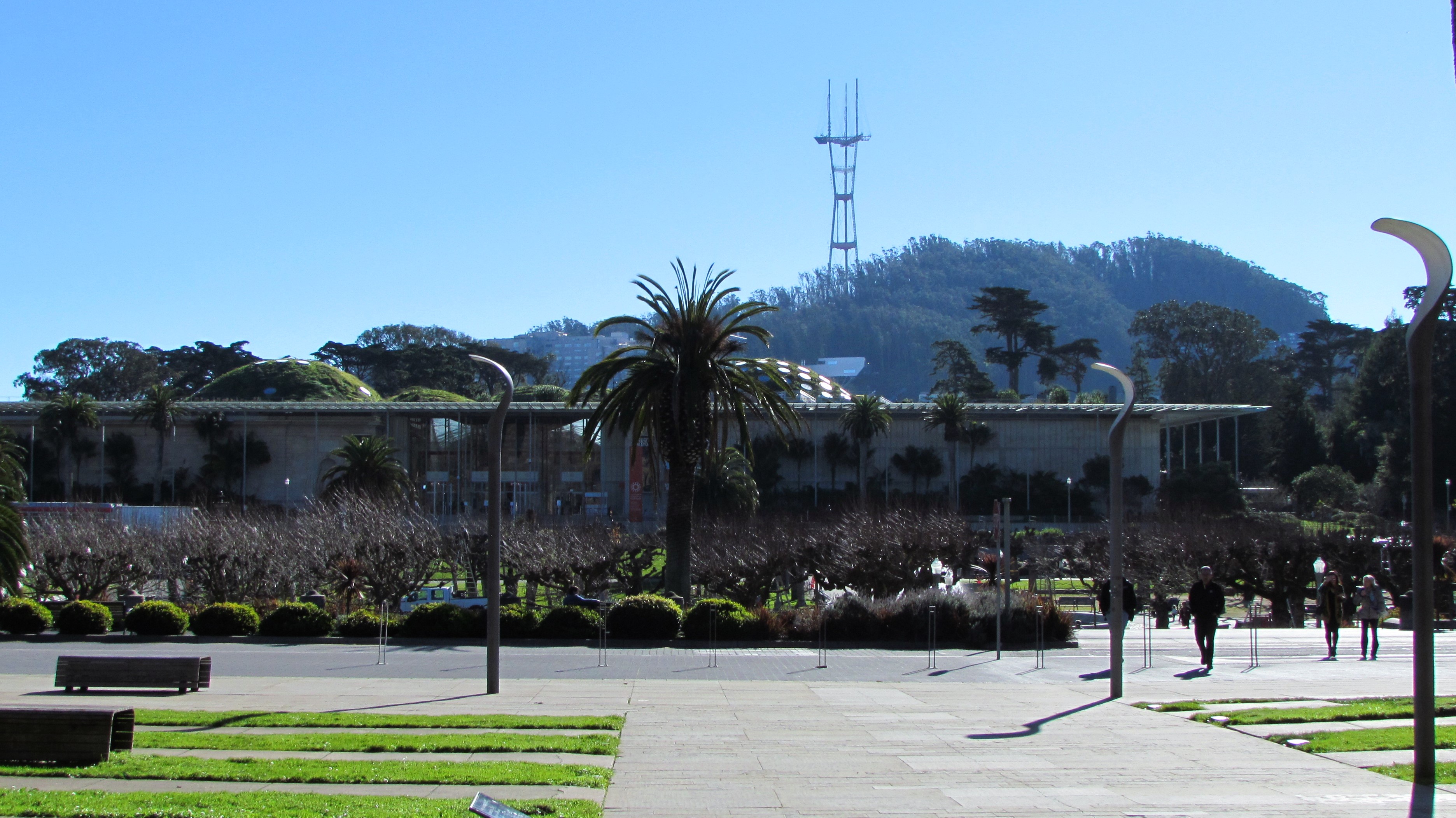 Exploring the Wonders of the California Academy of Sciences