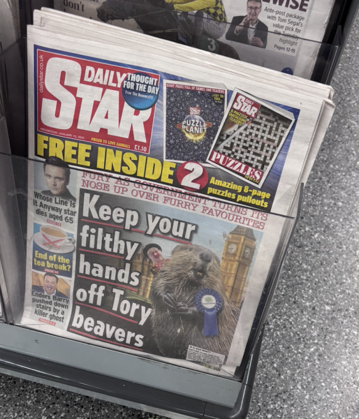 Spot On, Daily Star: A Perfectly Articulated Point