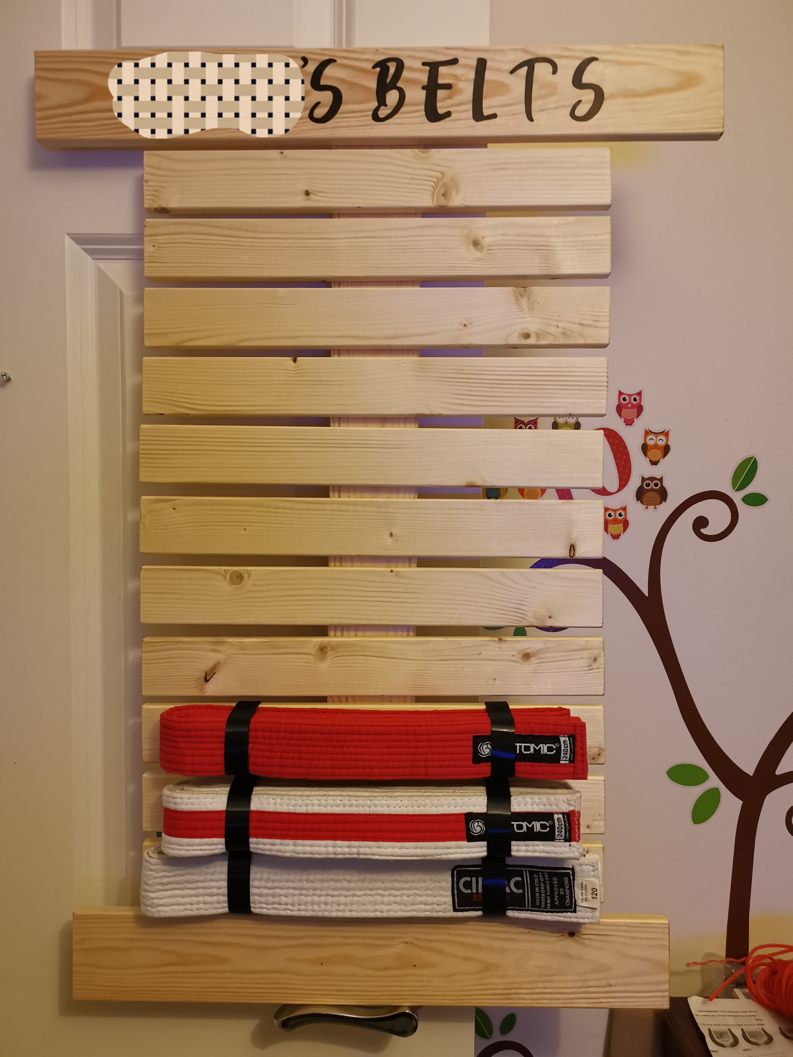 A Stunning Showcase of Wado Ryu Karate Belts