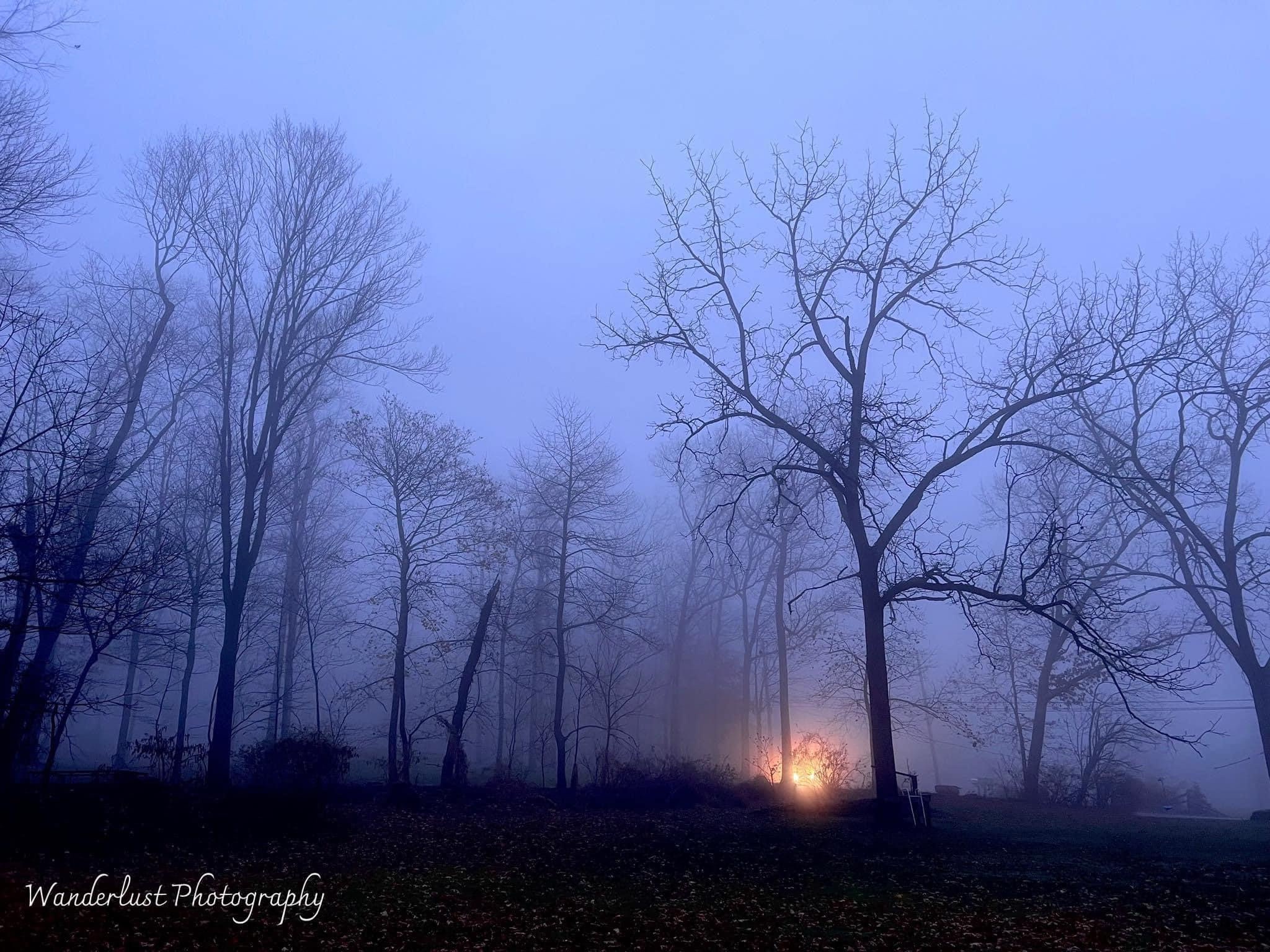 The Calm of Early Morning
