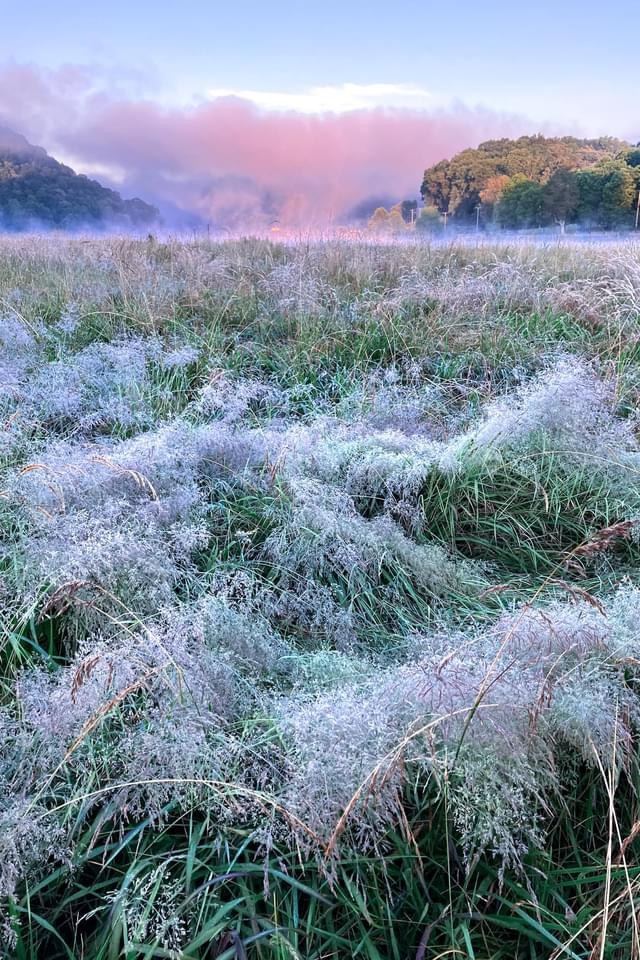 A Beautiful Field Awaits