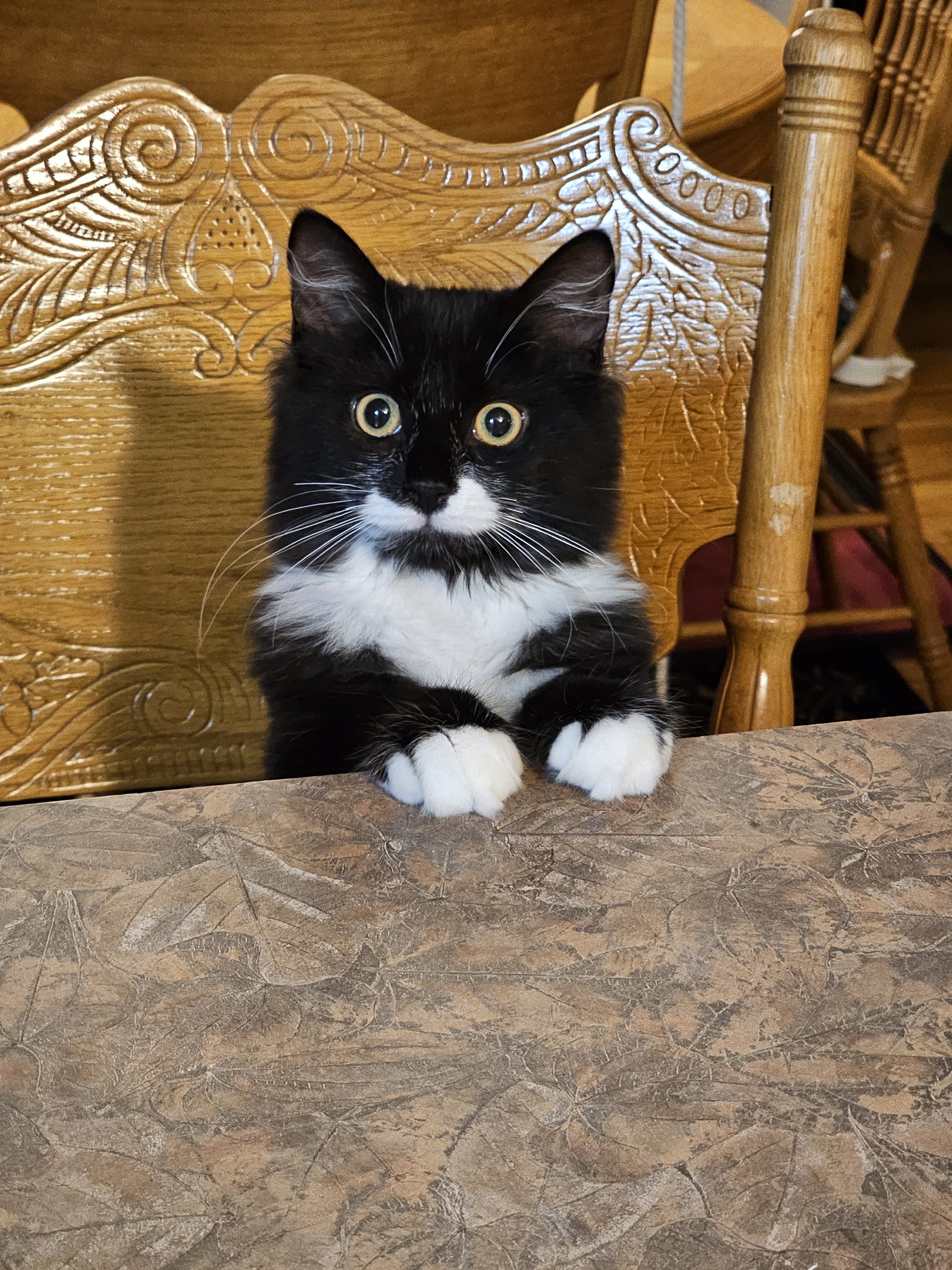 Can You Believe Little Charlie is Already One? Time Really Flies!