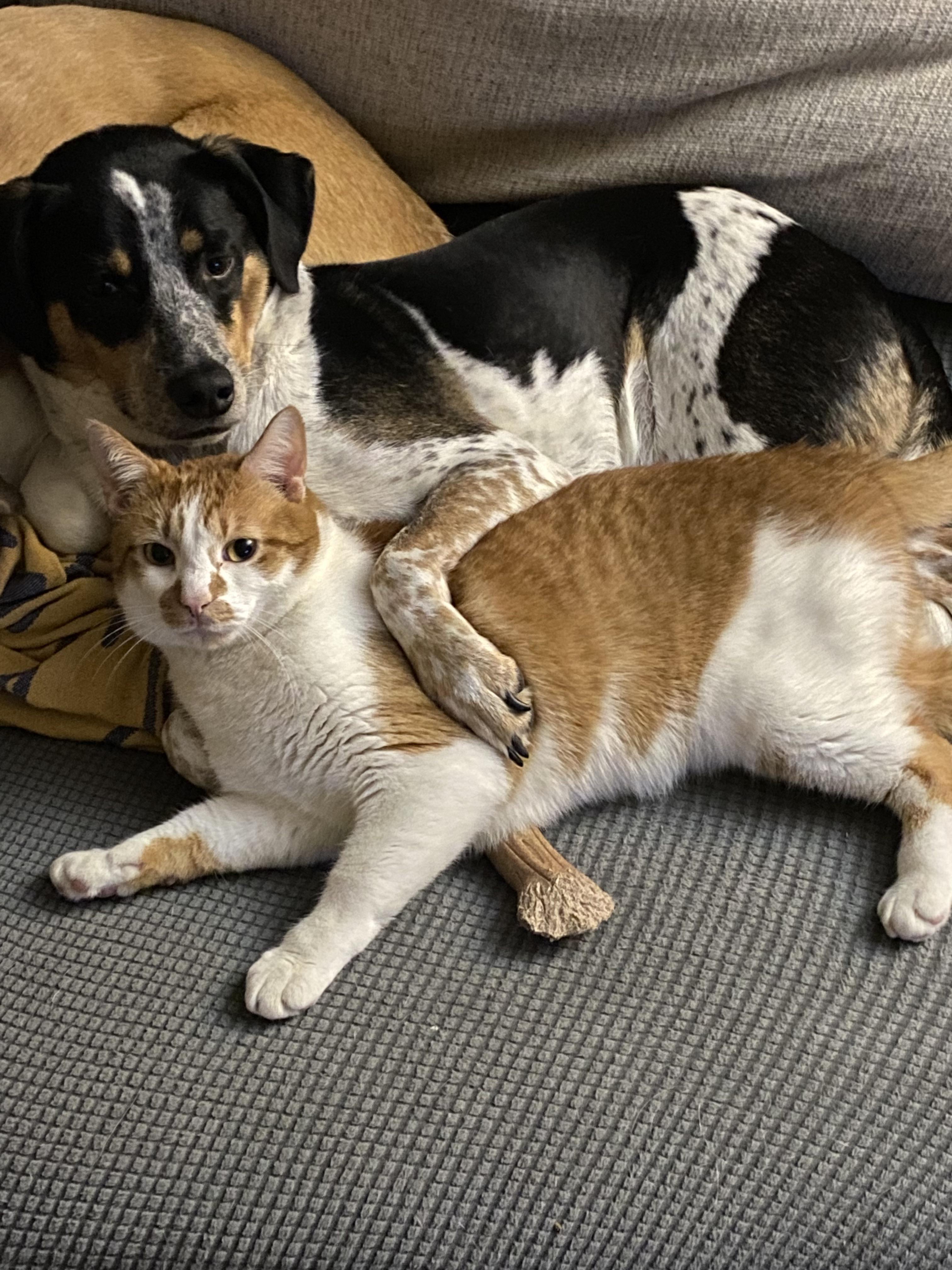 Ozzy the Big Spoon and Gary the Little Spoon