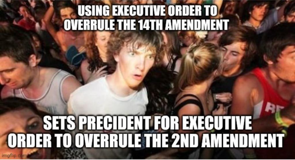 MAGA Loyalists Plotting to End Birthright Citizenship with Executive Order