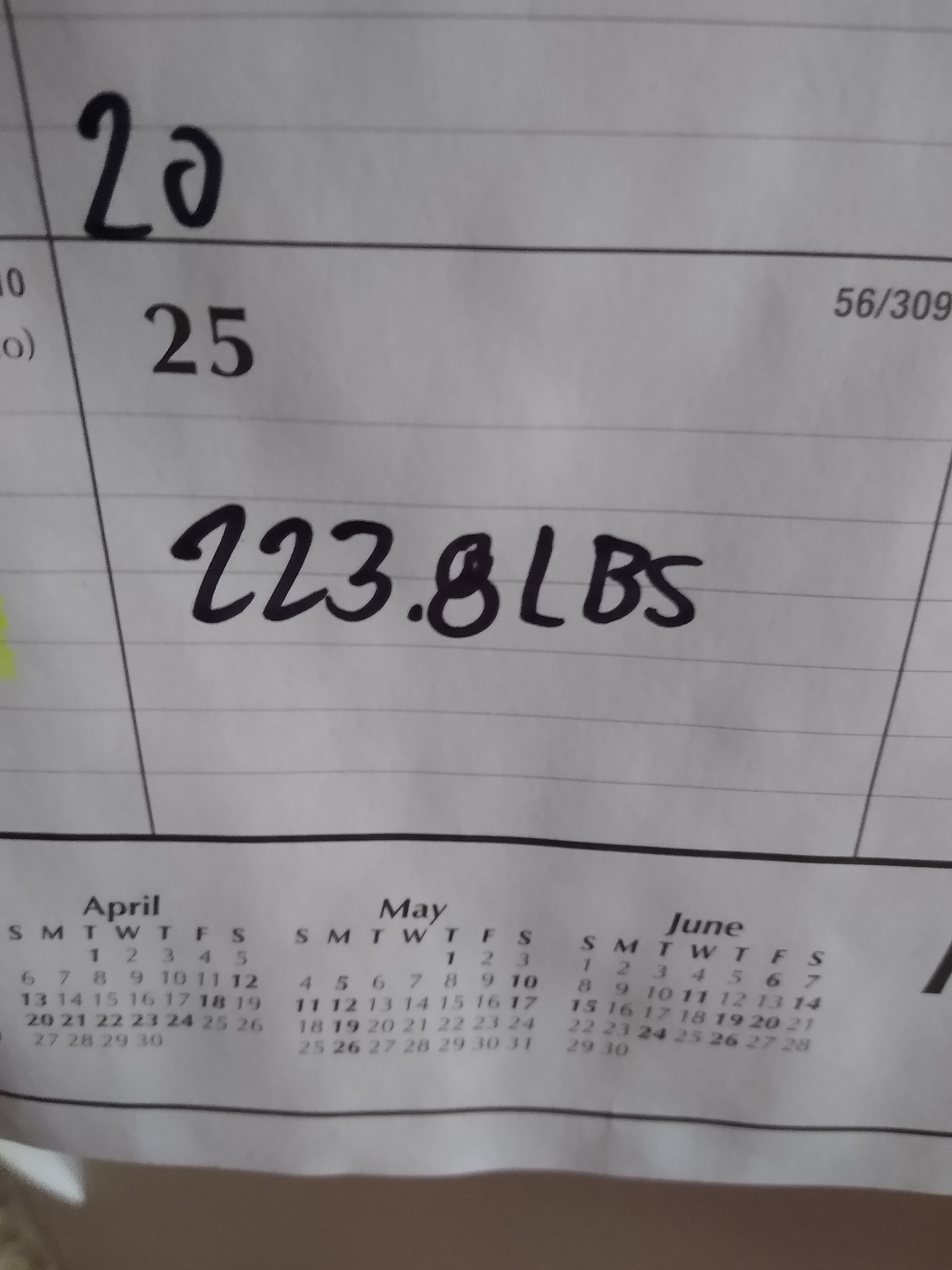 Day 27 of My Weight Loss Journey: Daily Weigh-In and Calorie Tracking