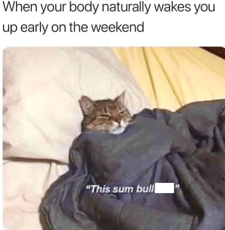 Curse you, Circadian Rhythm!