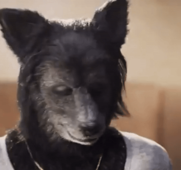 Whimsical Orangina Canine GIF That Will Make You Smile
