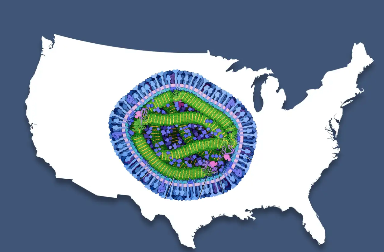Measles Outbreak in Rural Texas: A Call for Medical Help