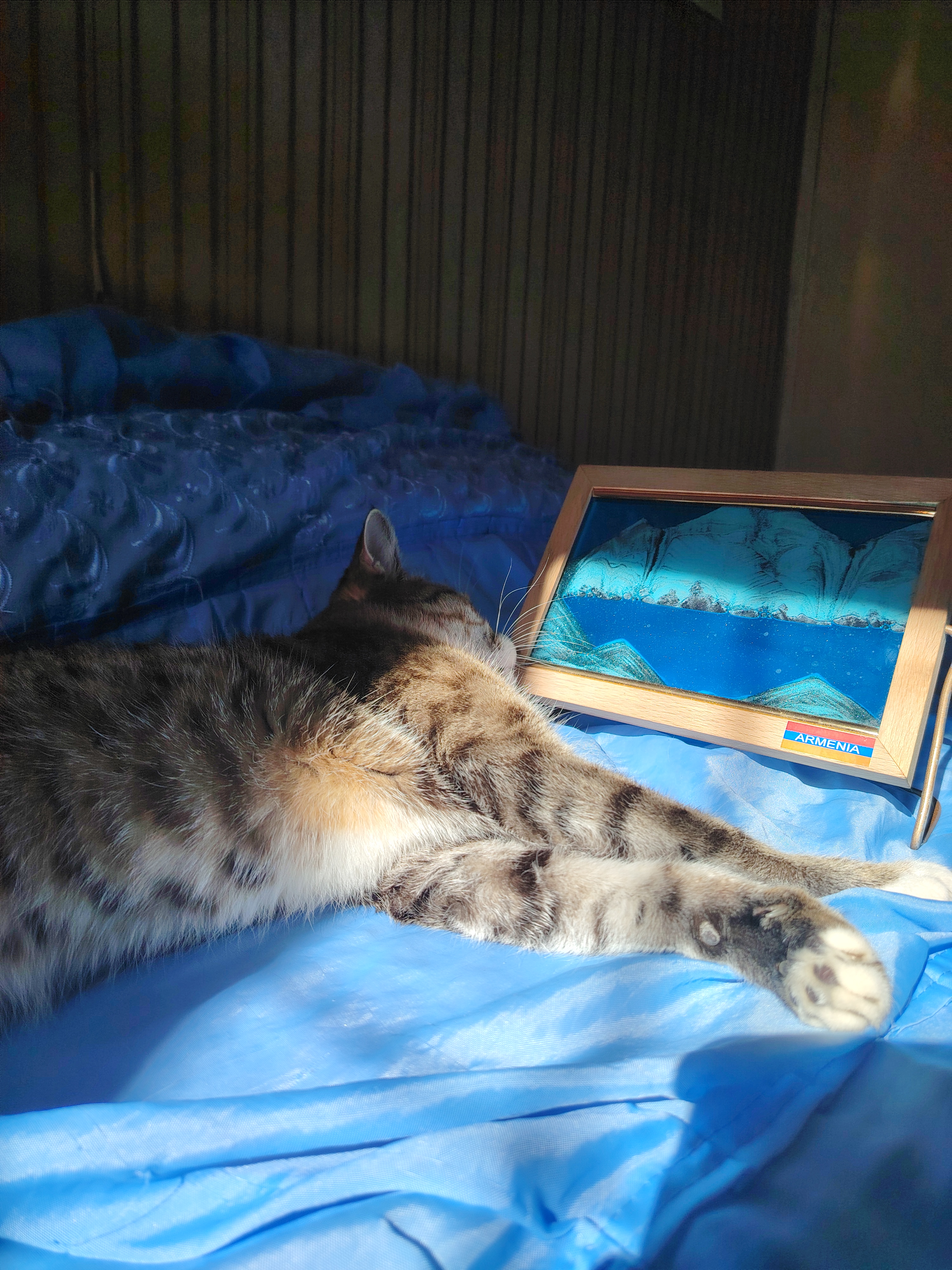 Mia and Her Gadget: A Ray of Sunshine in Action