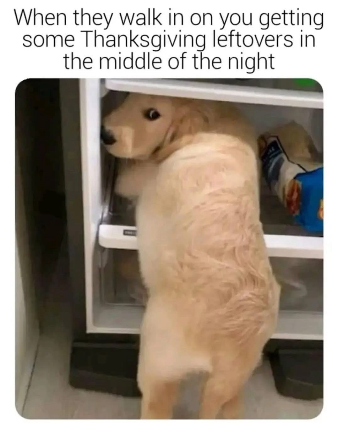 A Treasure Trove of Stolen Memes to Brighten Your Day