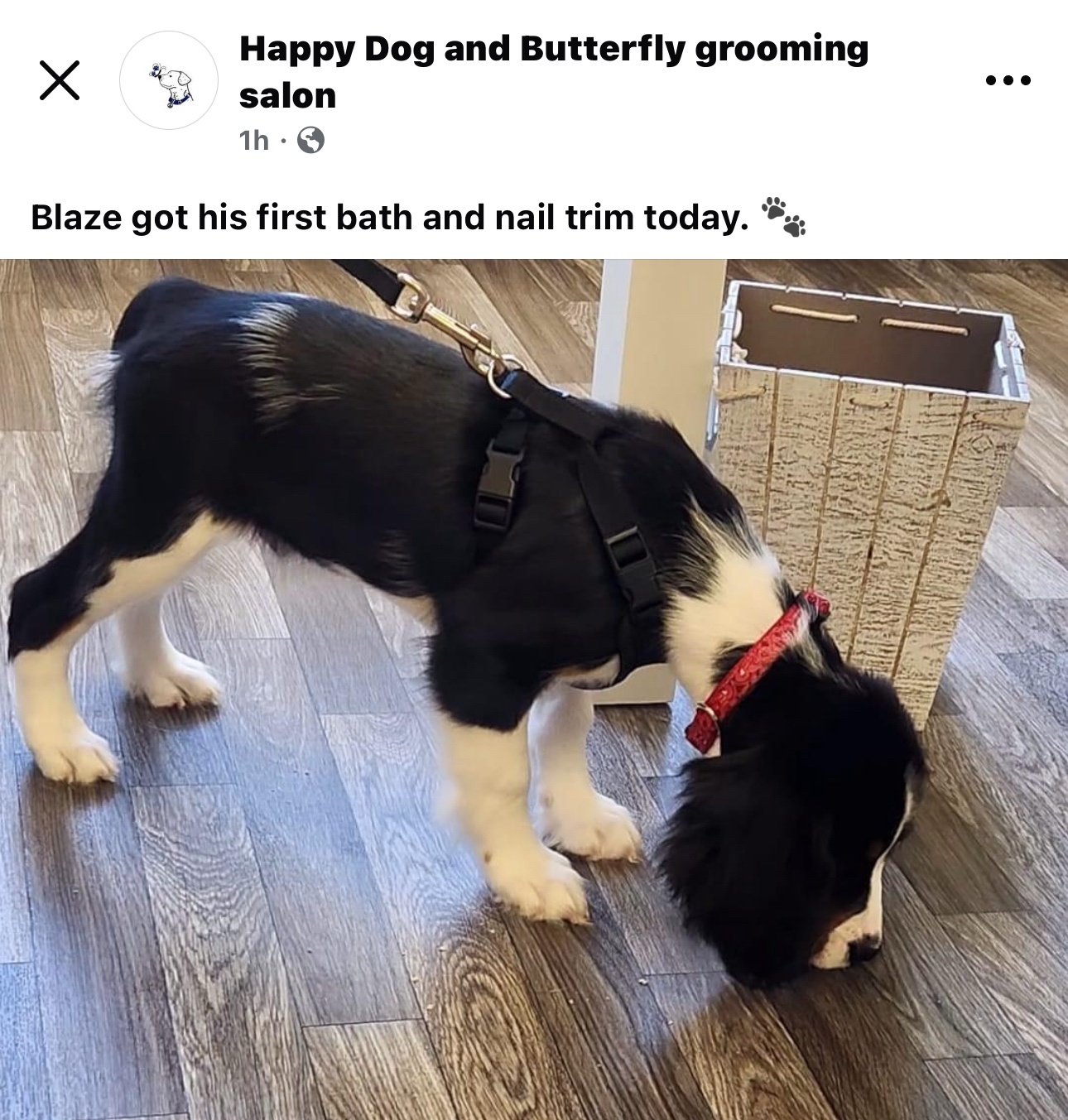 Indulging in a Relaxing Spa Day