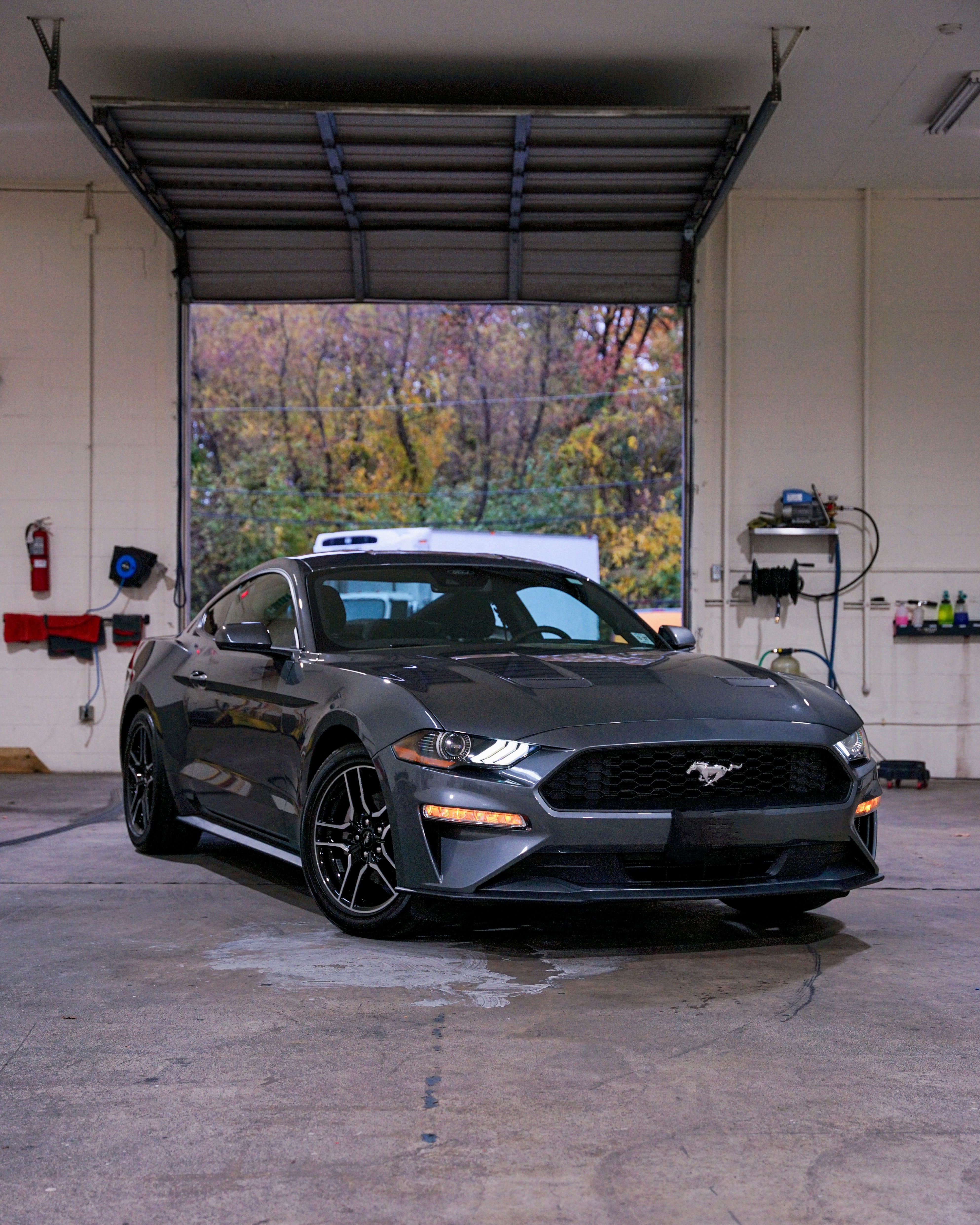 Check Out My Shiny Pony: The Ultimate Showstopper