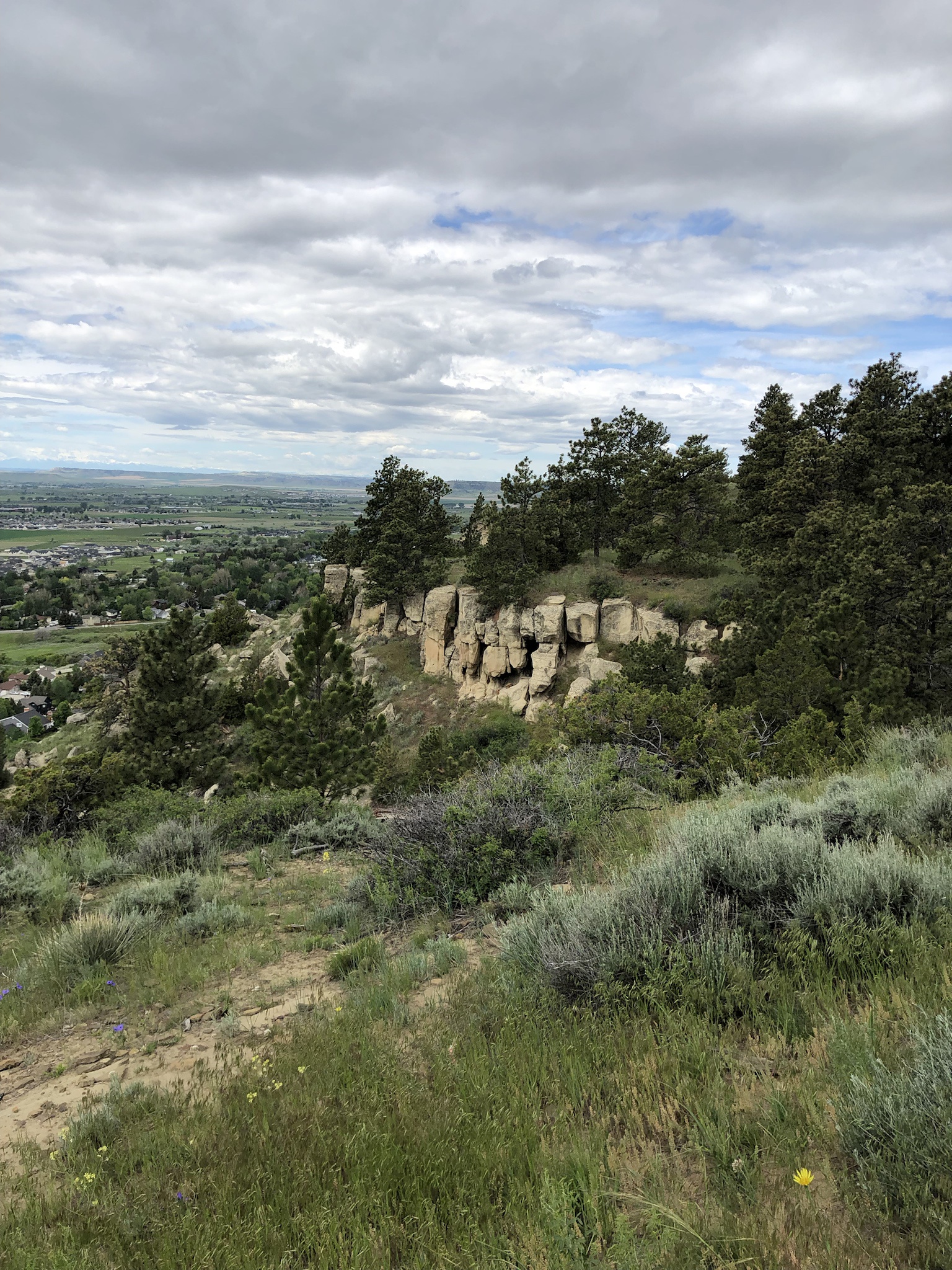 Standing Proud on the Rims of Billings, MT