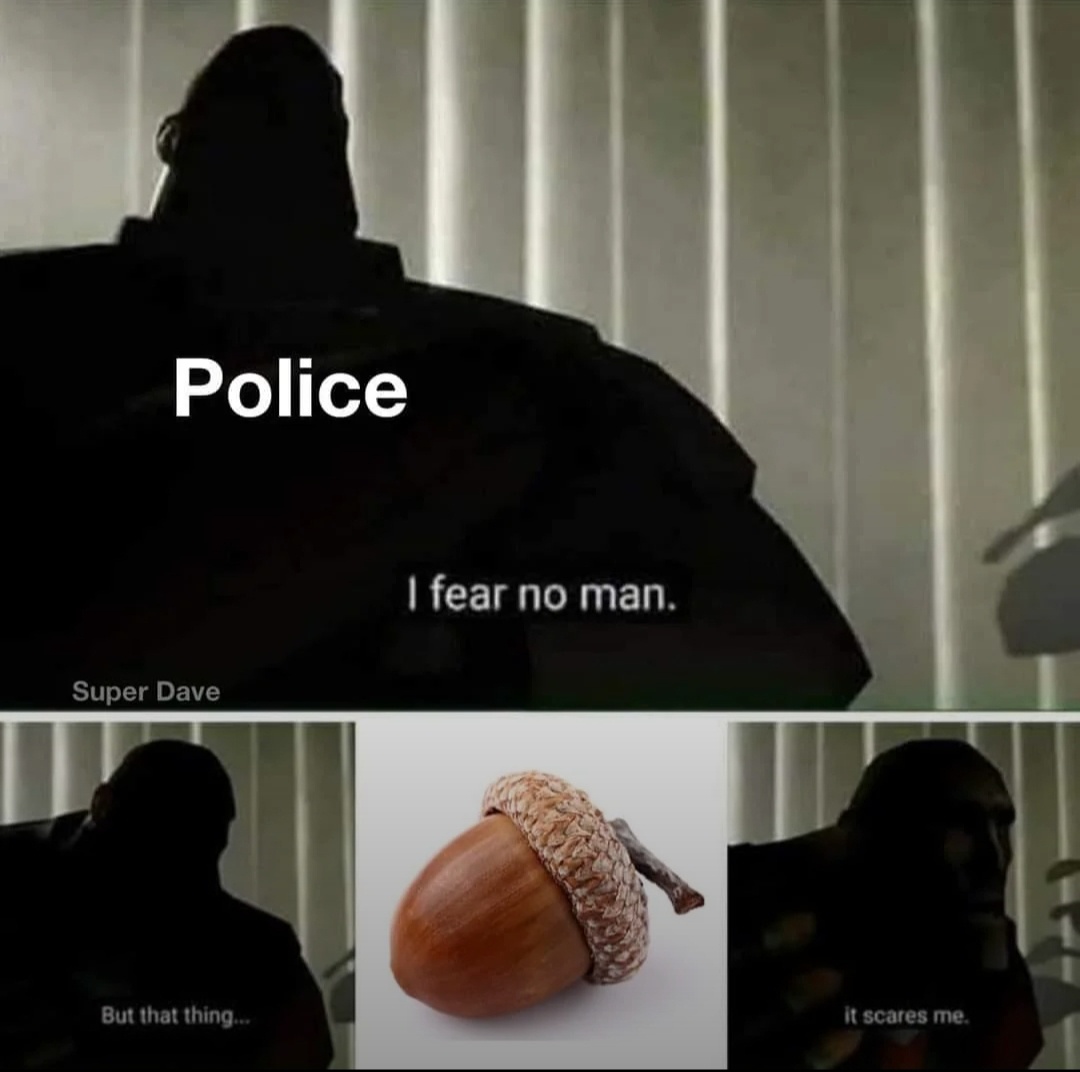Is This Team Acorn?
