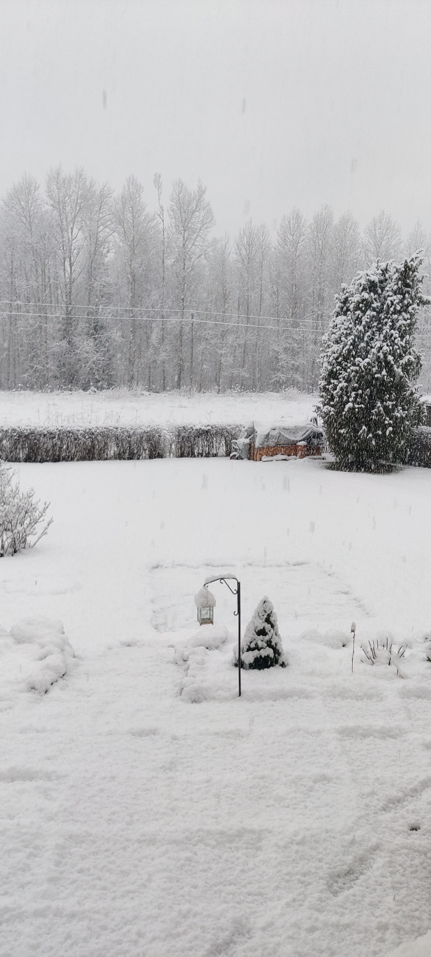 Is winter really on the way?