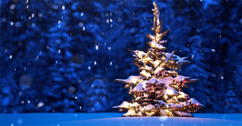 Excited for Tomorrow's Wrapping: First Christmas with My Kids in 20 Years!