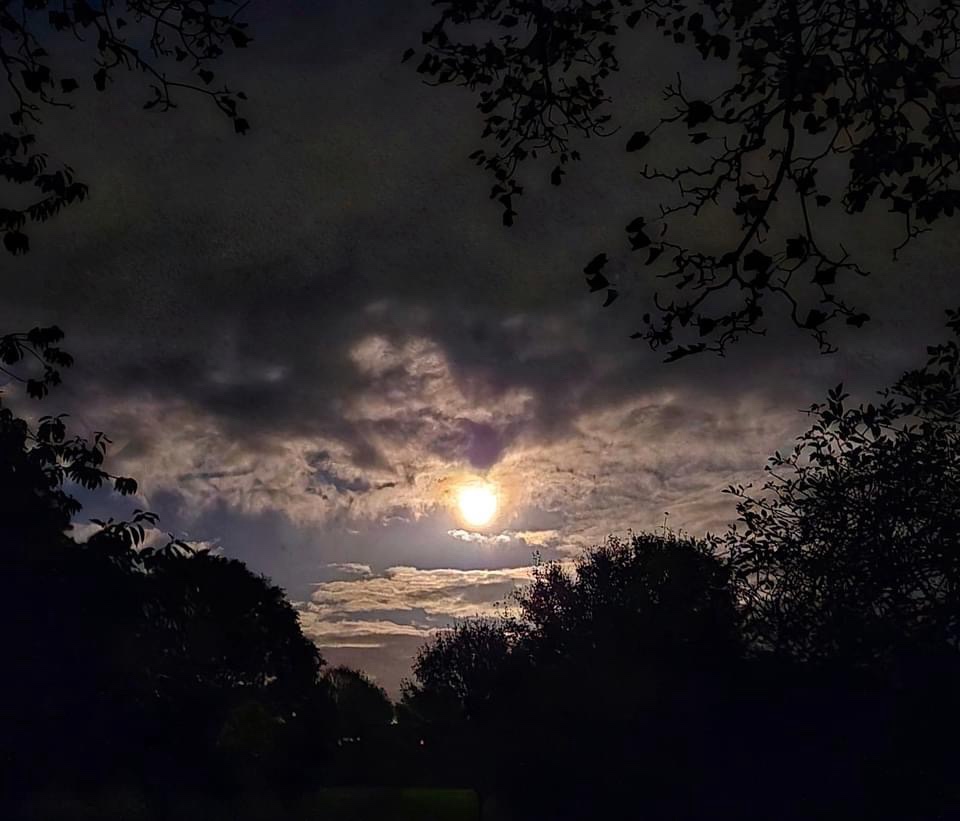The Enigmatic Glow of the Full Moon