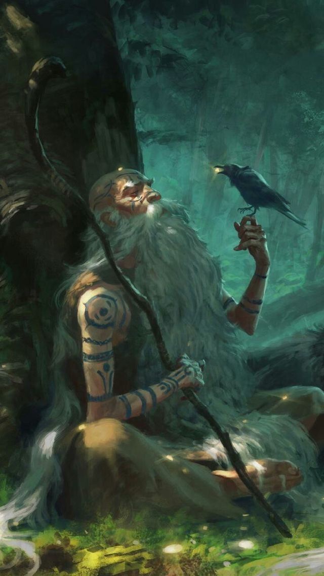 Meet the Random Druid - your next D&D NPC!