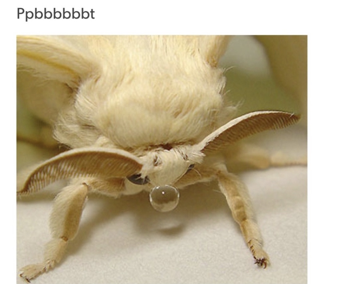 Random Meme Collection: Part 284